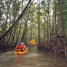 Kayaking in Costa Rica